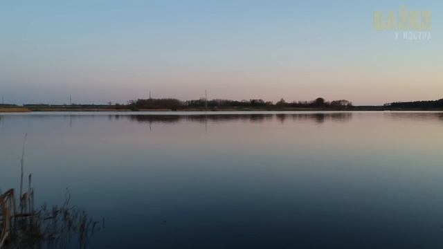 Сом, который утащил человека под воду: Реальный случай, который шокировал мир!