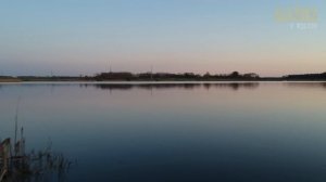 Сом, который утащил человека под воду: Реальный случай, который шокировал мир!