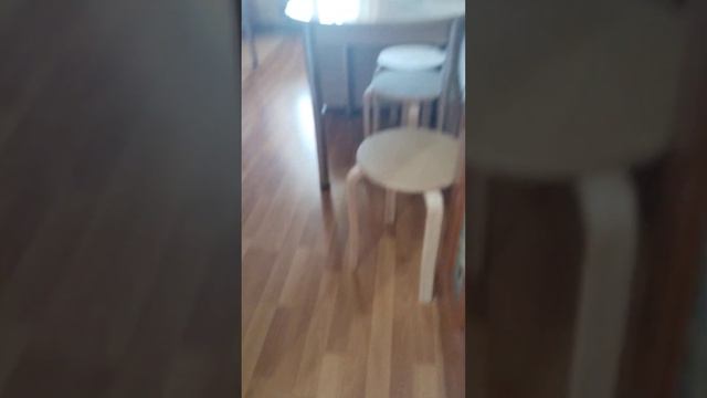 где спят мои Фёрбики😴 смотреть онлайн