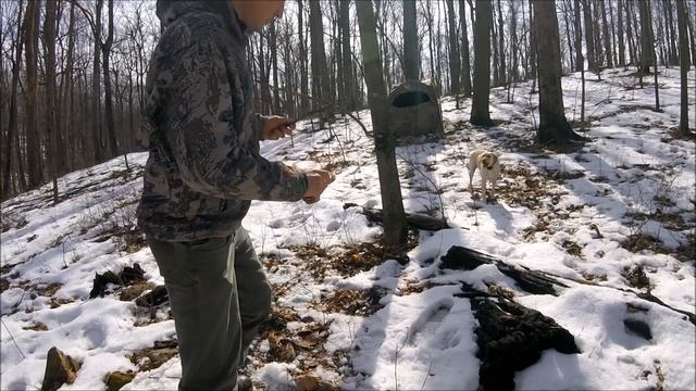 Фотоловушки на охоте смотреть онлайн