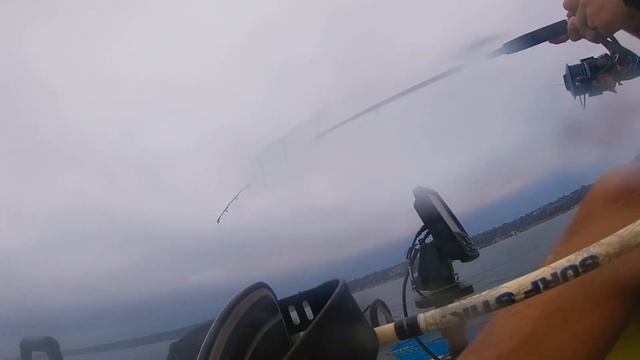 La Jolla kayak fishing for monster calico смотреть онлайн