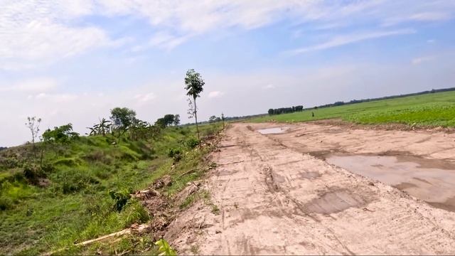 SlingShot Birds Hunting Survival Bushcraft Skills pigeon dove crow pheasant outdoor wild Birds смотреть онлайн