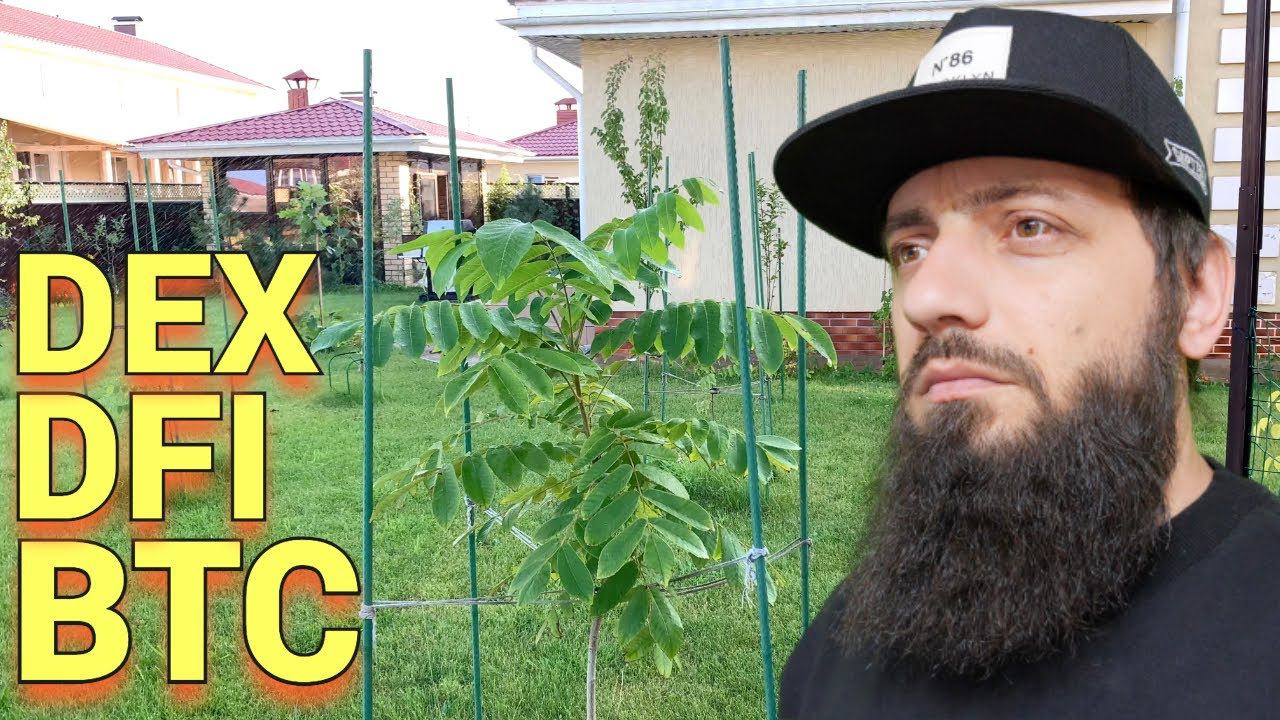 КАК Я ВЫЛЕЗ ИЗ ДОЛГОВ ПСИХОЛОГИЯ БОГАТОГО И БЕДНОГО ЧЕЛОВЕКА КРИПТОВАЛЮТА .Как Заработать Ден смотреть онлайн