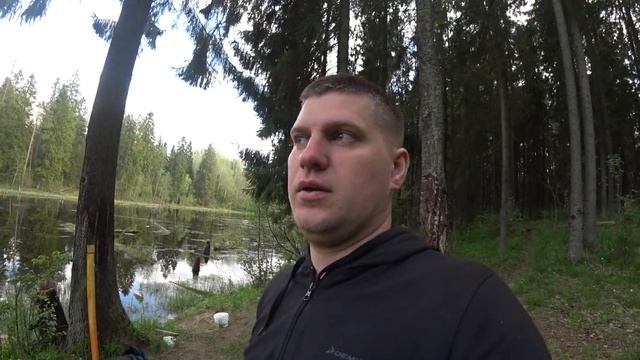 Озеро в лесу гатчинского района. Рыбалка на новом месте. #рыбалкавгатчине #рыбалканажерлицы смотреть онлайн