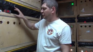 Отличный брудер для цыплят, бройлеров, утят, индюшат своими руками с терморегулятором, доработки