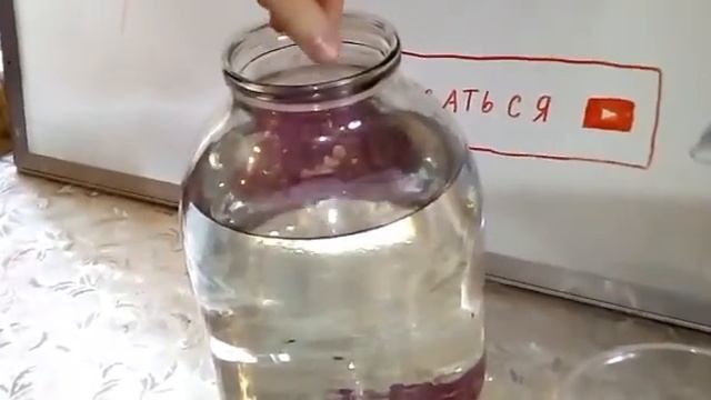 Лечим Алладина от плавниковой гнили. смотреть онлайн