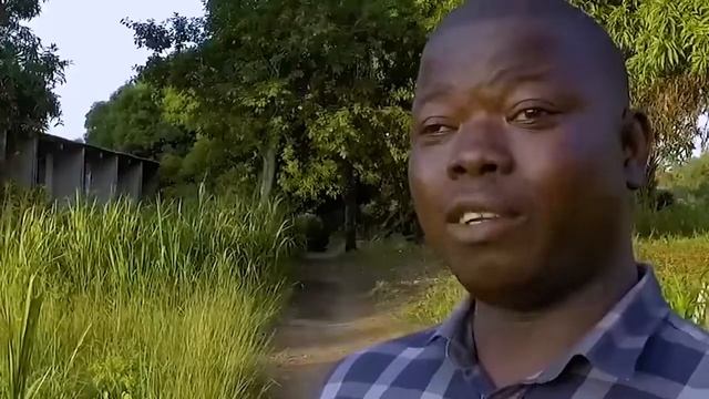 Sierra Leoneans React to the Government Transition Team Report смотреть онлайн