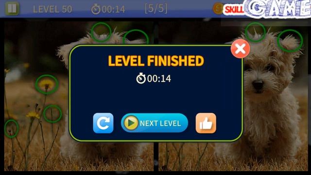 Find & Spot the difference game | Doggie Pack | Level 1 - 100 Walkthrough смотреть онлайн