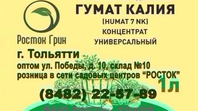 Стройка Волшебства