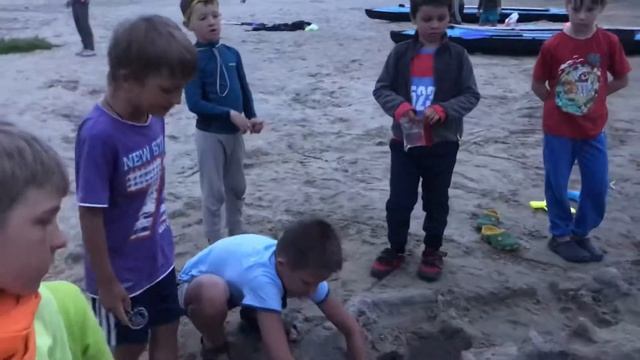 Цитрусы 2019. Бассейн Черепаха смотреть онлайн