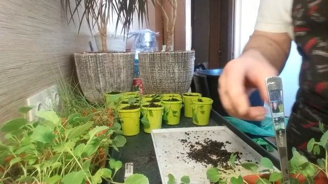 А ТАК БЫСТРЕЕ смотреть онлайн