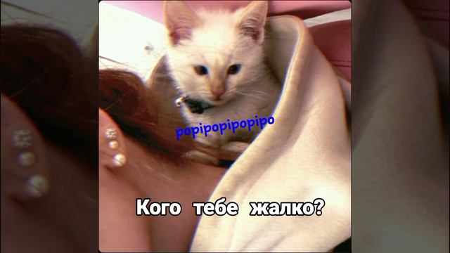 Милс кел смотреть онлайн