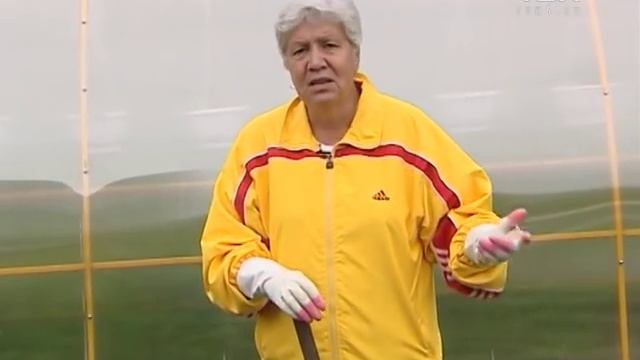 Советы тети Тани. Уход за картофелем смотреть онлайн