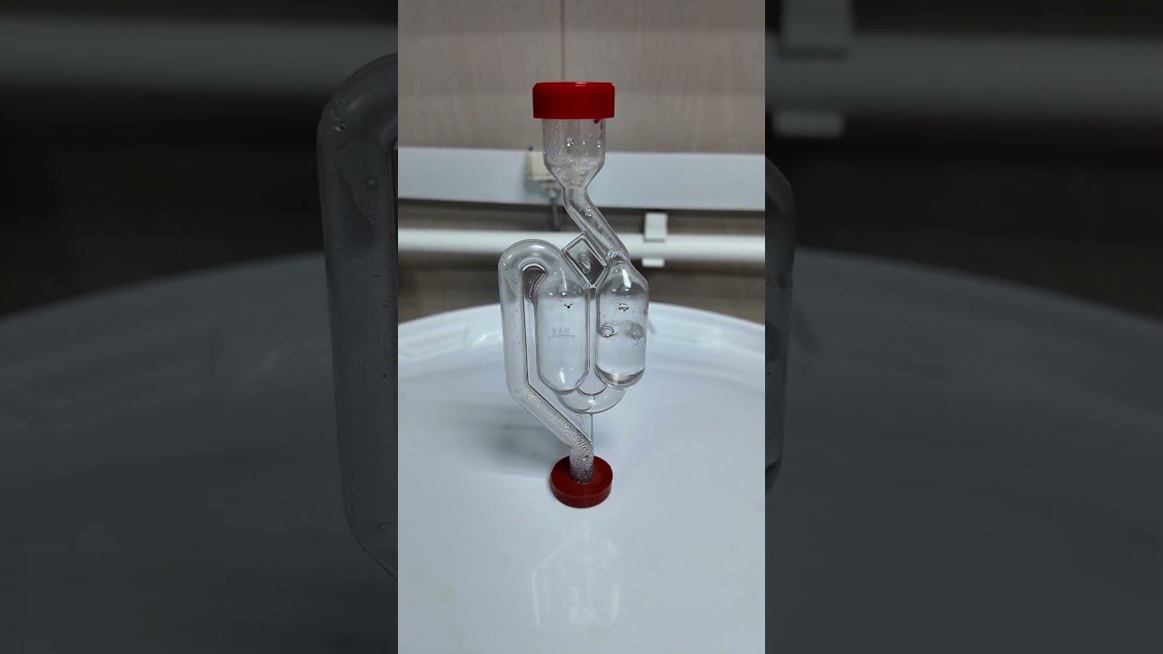 Самогон из гречки #самозванцы #shorts смотреть онлайн