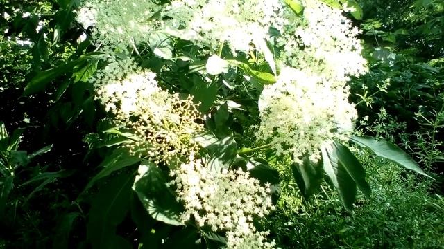 Христианские стихи с глубоким смыслом. смотреть онлайн