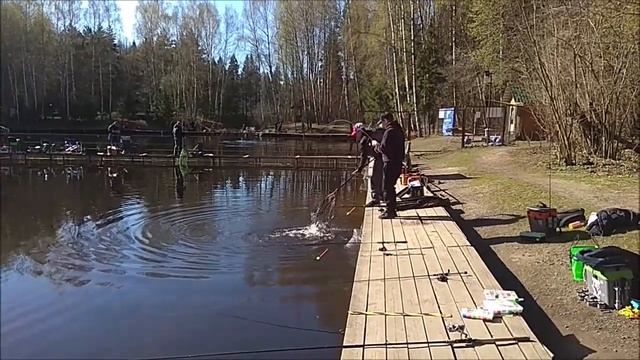 Поимки форели на спиннинг и донную снасть. Клёвое место, Лосиный остров, нижний водоём. смотреть онлайн