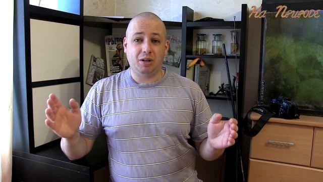 Нерестовый запрет смотреть онлайн