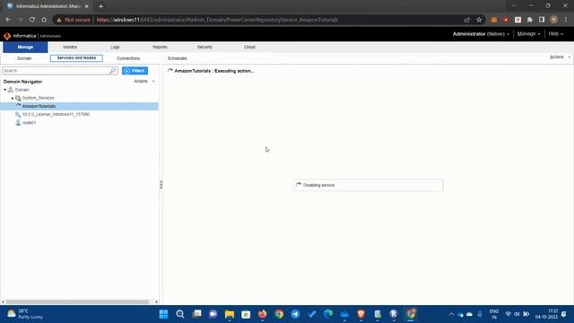 How to create Repository and Integration Services in Informatica Administrator смотреть онлайн