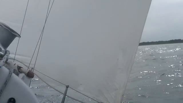 Sailing "Thanks Dad" 2-July-2016 - Great sail. Tiller Pilot Interface. Torn Genoa смотреть онлайн