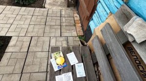 Посев репы, редьки и дайкона 6 июля 2024 года. Что важно знать.