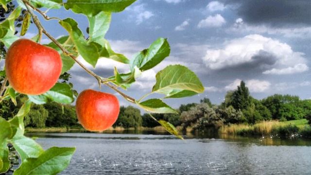 Яблочный рай смотреть онлайн