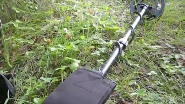 Металлоискатель MD6250(ACE250) Беспроводные наушники BINGLE. Пинпойнтер ?