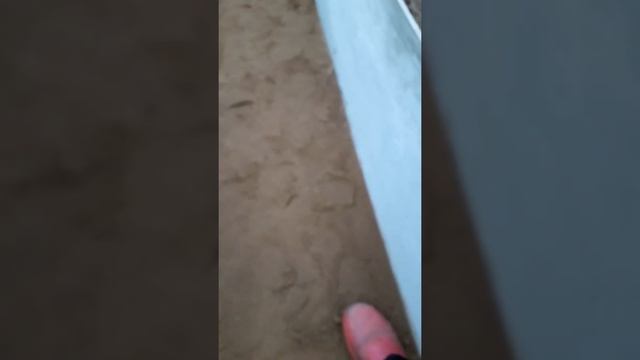 Теплые грядки из плоского шифера смотреть онлайн