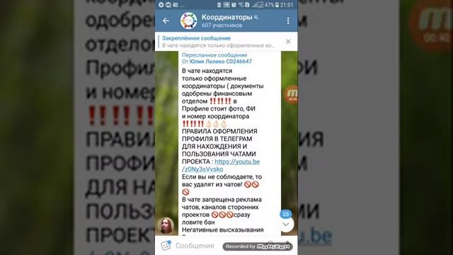Как прочитать сообщение в закрепе,в чатах телеграмм смотреть онлайн