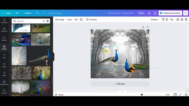 Color Isolation Tutorial in Canva (Make Beautiful DIGITAL ART) смотреть онлайн