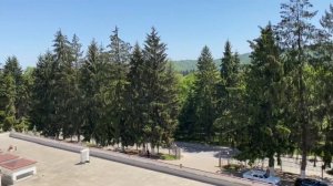 Синдика Нальчик обзор отеля Sindica