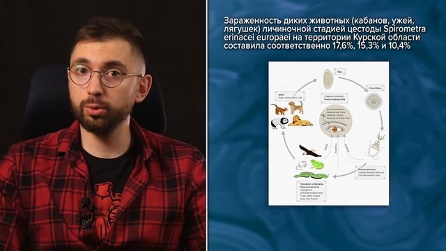 ДЕД-СОБАКОЕД. Диета падальщика? Сырое мясо, паразиты и инфекции. Орторексия Джордана Питерсона смотреть онлайн