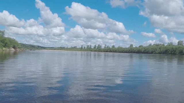 Ветлуга 2019 год