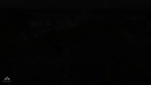 Música de flauta nativa americana • Elimina toda mala energía • Meditación sonora relajante смотреть онлайн