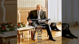 Клички для собак мальчиков: редкие и красивые имена