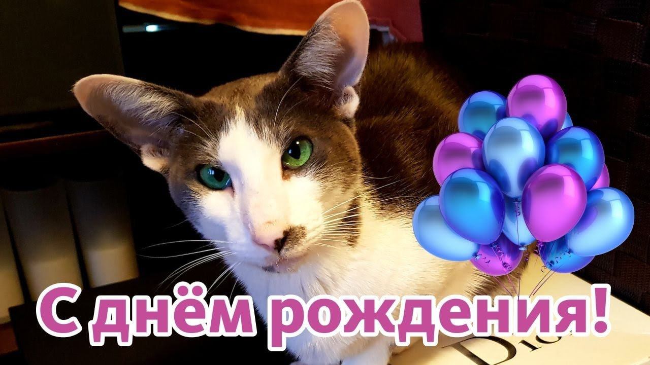 Хэппибёздим Гагарина смотреть онлайн