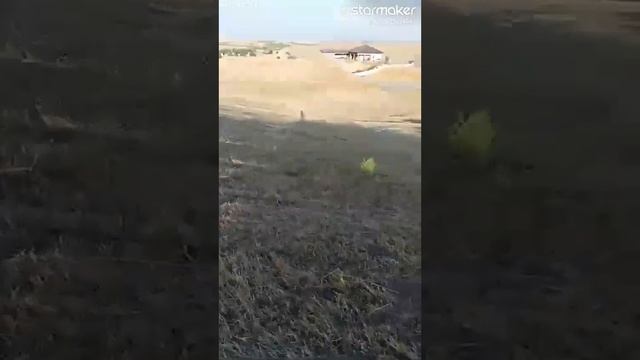 4 июня 2023 г. смотреть онлайн