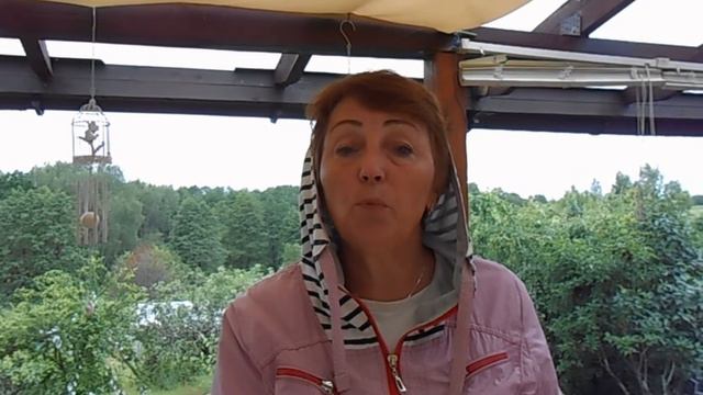 муравьи и тля