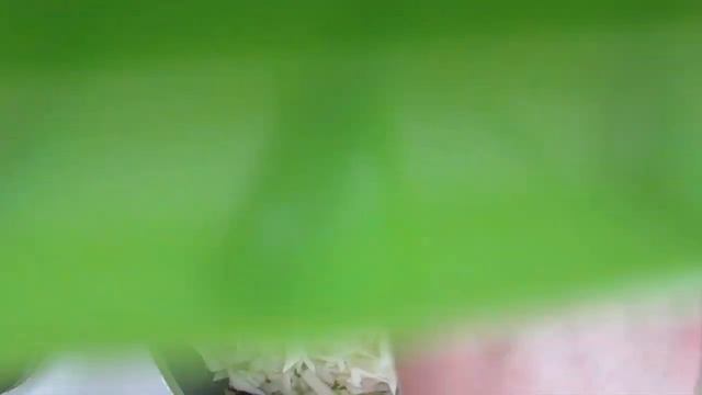 Капуста тушённая с гречкой смотреть онлайн
