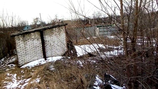 кто против жевадёрства лойс собаки отрезали лапки смотреть онлайн