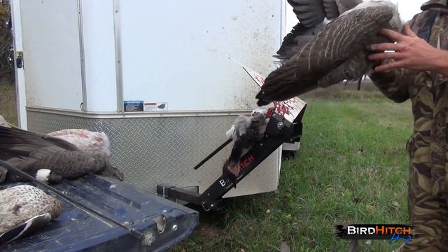 Bird Hitch H-2 смотреть онлайн