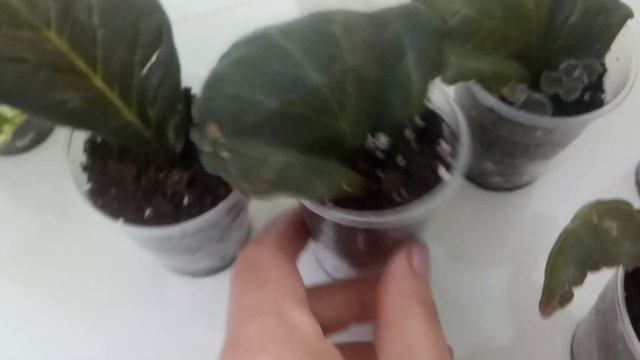 Повседневные заботы смотреть онлайн