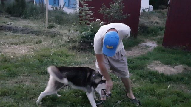 из города в деревню, на карантине,прогулка на самоизоляции смотреть онлайн