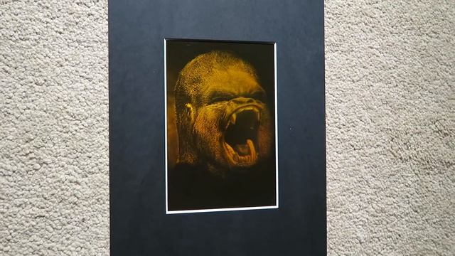 4x6" Evolution Gorilla to Man - True 3D Laser Hologram смотреть онлайн
