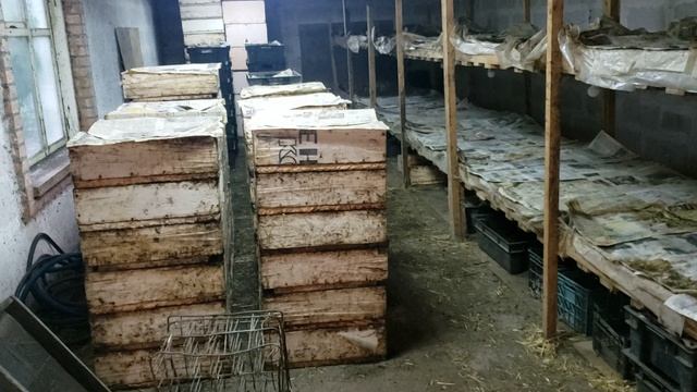 Дополнительный заработок на червях для рыбалки.Итоги весны 2023г. смотреть онлайн