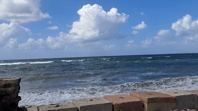 чем могут ответить 