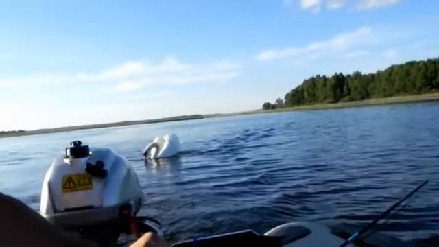 лебединая доля смотреть онлайн