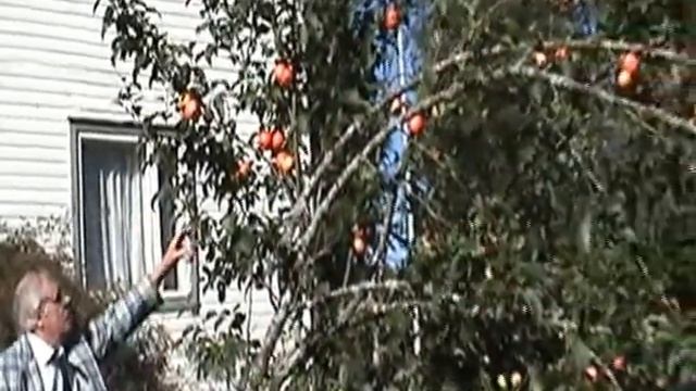 iPHONE XS IPAD PRO MAC PRO WINDOWS 10 ANDROID 5G PHONES 5G NETS MEMORIES OF SUMMER FALL WINTER смотреть онлайн
