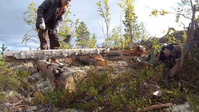 Стройка тайной хижины в тайге. Медведь пришёл. Всё пошло не по плану смотреть онлайн