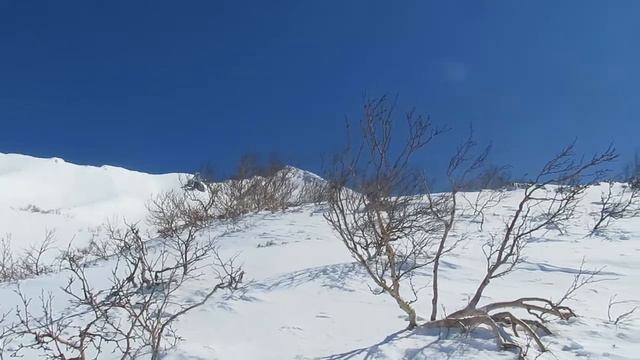 Итуруп 2020 смотреть онлайн