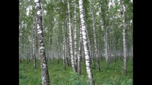 Группа герои – А закаты алые